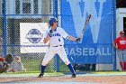 Baseball vs WPI  Wheaton College Baseball vs WPI. - Photo By: KEITH NORDSTROM : Wheaton, baseball